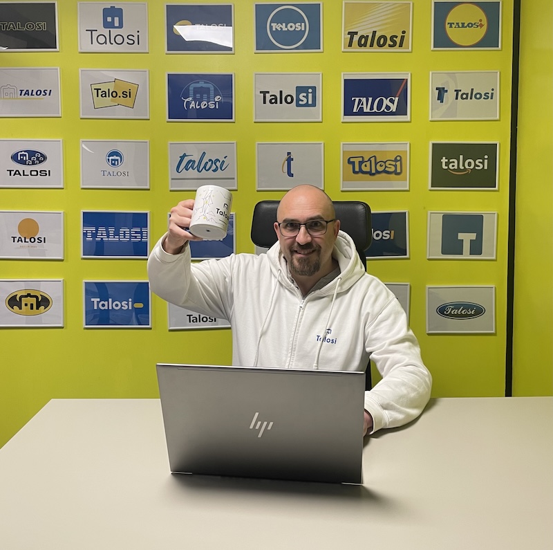 Services de conseil et d'accompagnement informatique - Talosi