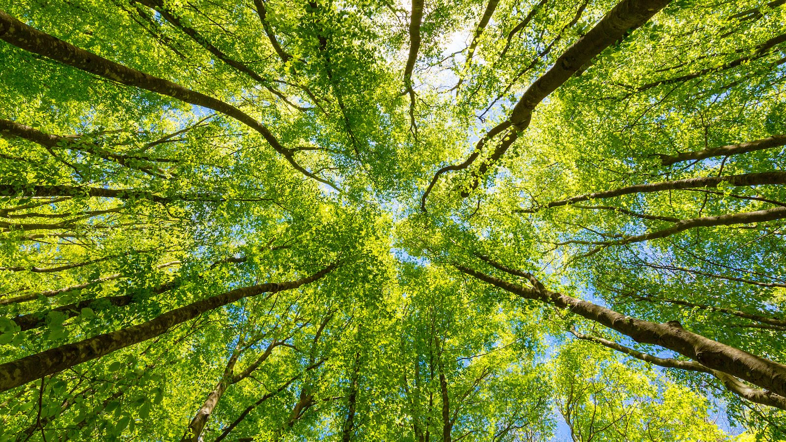 Objectifs environnementaux Talosi