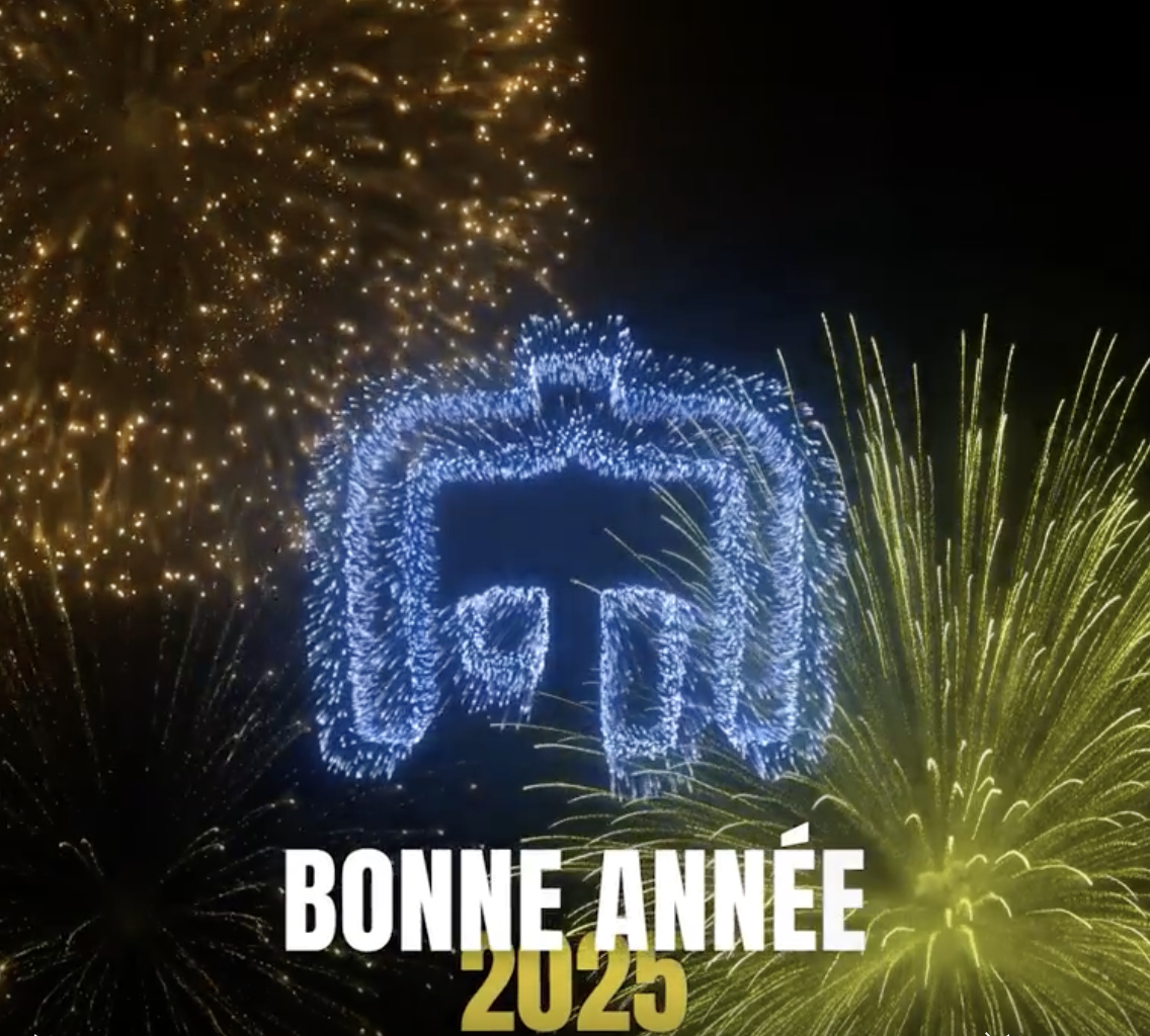 Toute l’équipe Talosi vous souhaite une merveilleuse année 2025 !