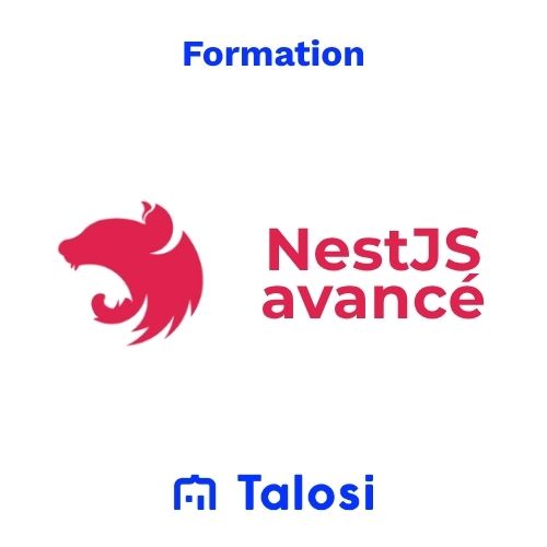 Formation NestJS avancé